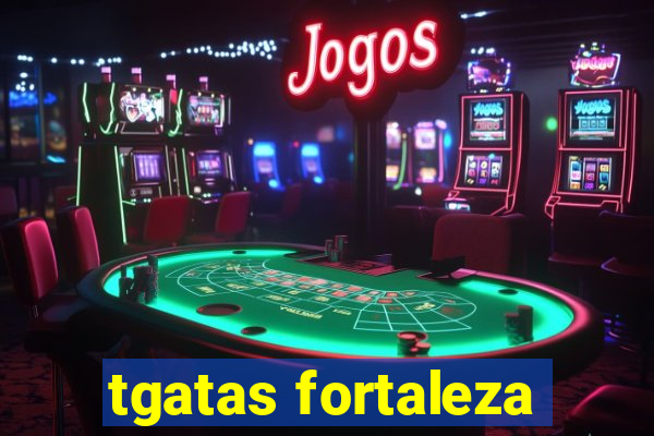 tgatas fortaleza